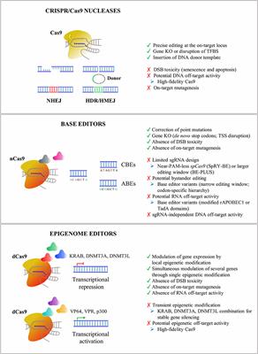 Delivery Platforms for CRISPR/Cas9 Genome Editing of Glial Cells in the Central Nervous System